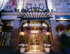 Hotel 41
